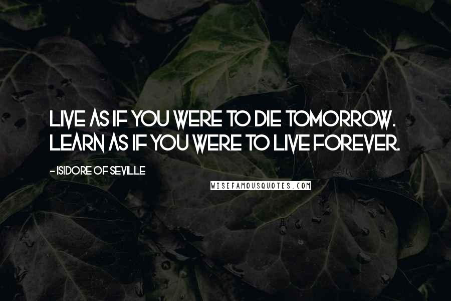Isidore Of Seville Quotes: Live as if you were to die tomorrow. Learn as if you were to live forever.
