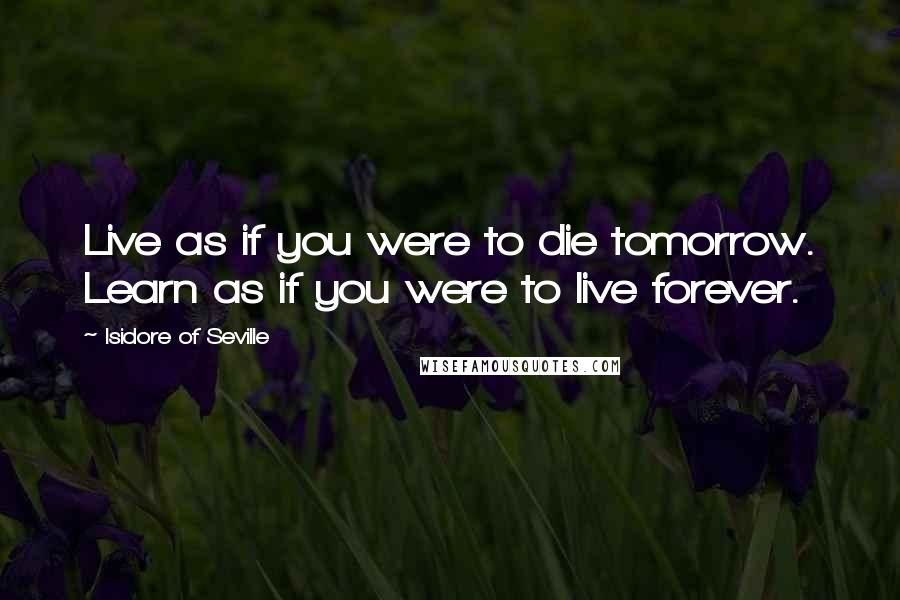 Isidore Of Seville Quotes: Live as if you were to die tomorrow. Learn as if you were to live forever.