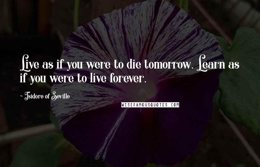 Isidore Of Seville Quotes: Live as if you were to die tomorrow. Learn as if you were to live forever.