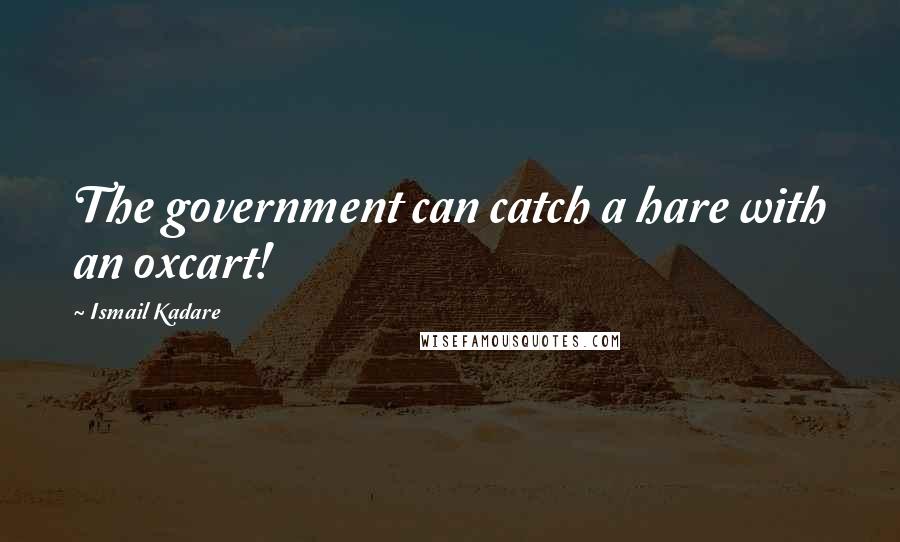 Ismail Kadare Quotes: The government can catch a hare with an oxcart!