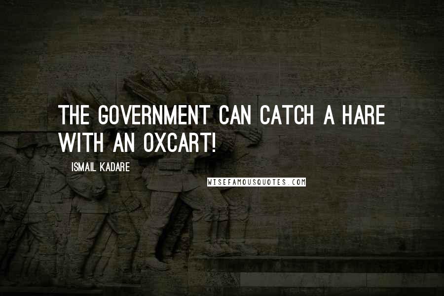 Ismail Kadare Quotes: The government can catch a hare with an oxcart!