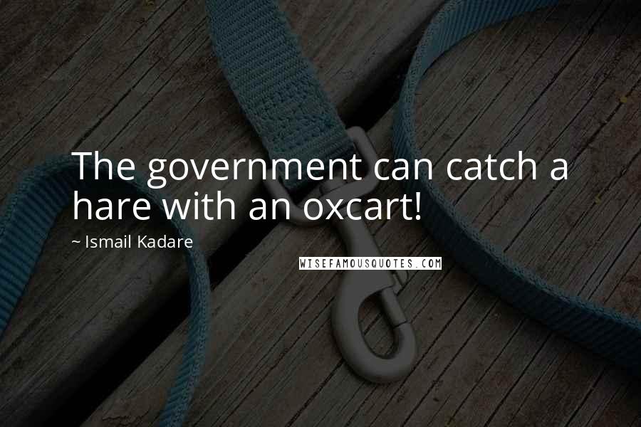 Ismail Kadare Quotes: The government can catch a hare with an oxcart!