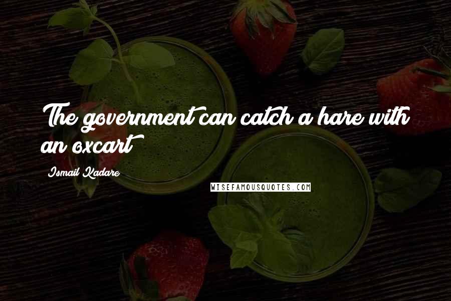 Ismail Kadare Quotes: The government can catch a hare with an oxcart!