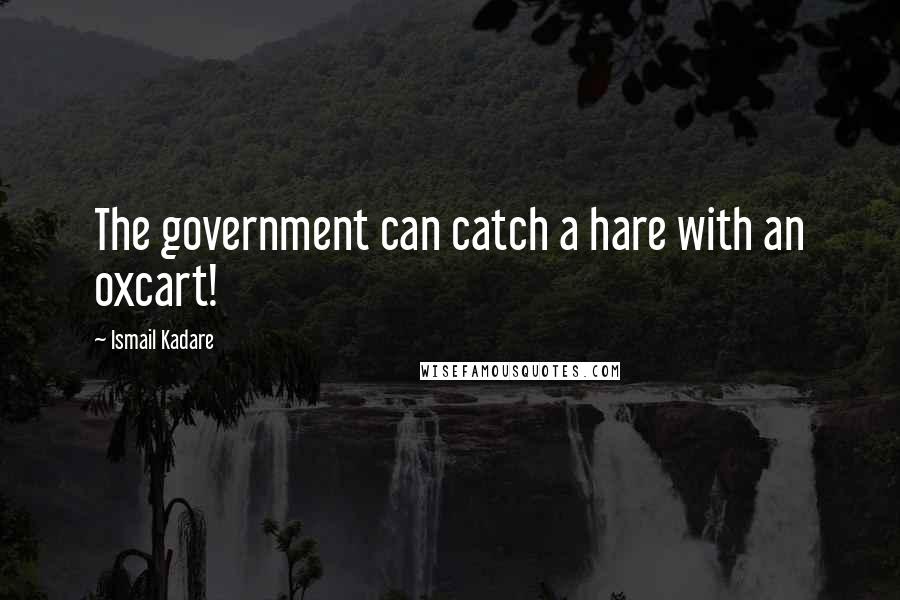 Ismail Kadare Quotes: The government can catch a hare with an oxcart!