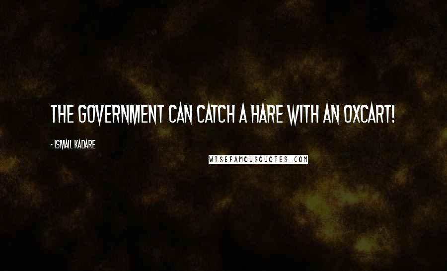 Ismail Kadare Quotes: The government can catch a hare with an oxcart!