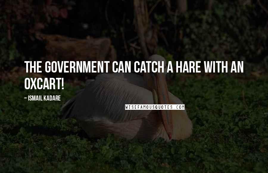 Ismail Kadare Quotes: The government can catch a hare with an oxcart!