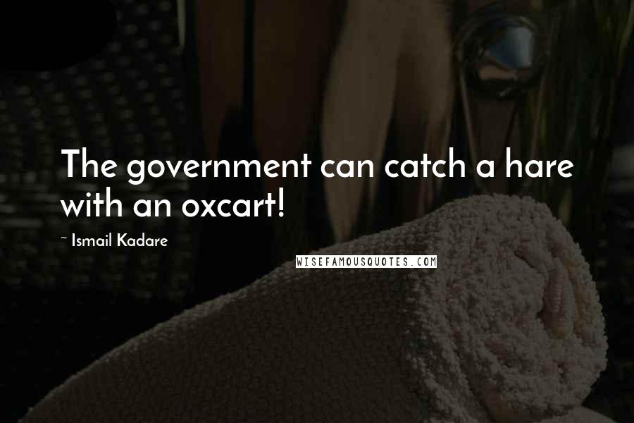 Ismail Kadare Quotes: The government can catch a hare with an oxcart!