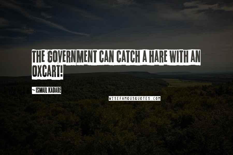 Ismail Kadare Quotes: The government can catch a hare with an oxcart!