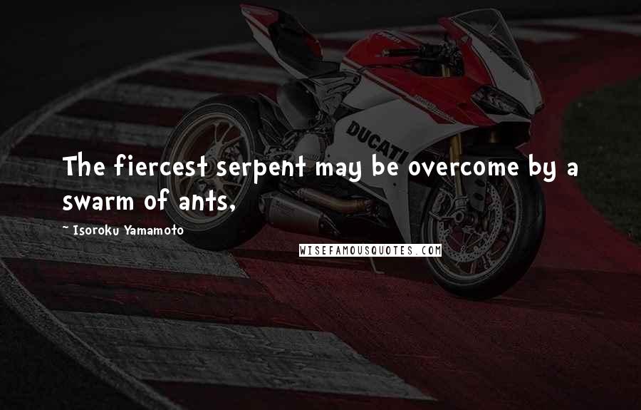 Isoroku Yamamoto Quotes: The fiercest serpent may be overcome by a swarm of ants,