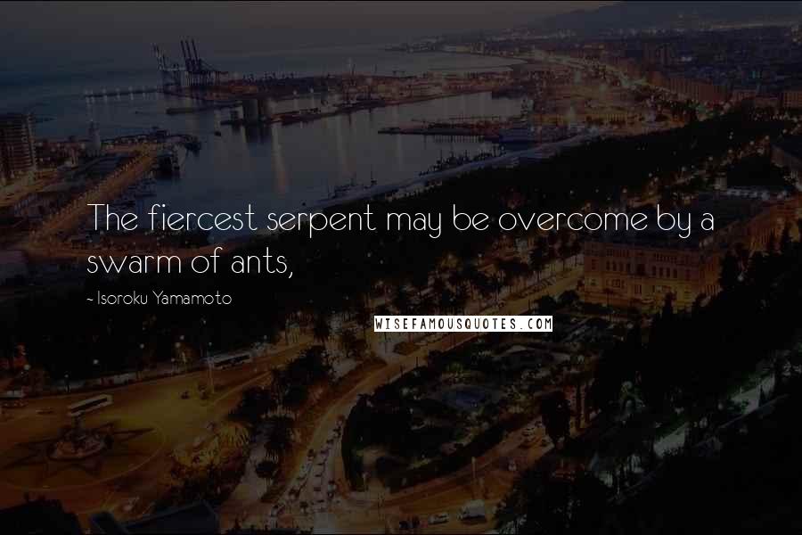 Isoroku Yamamoto Quotes: The fiercest serpent may be overcome by a swarm of ants,