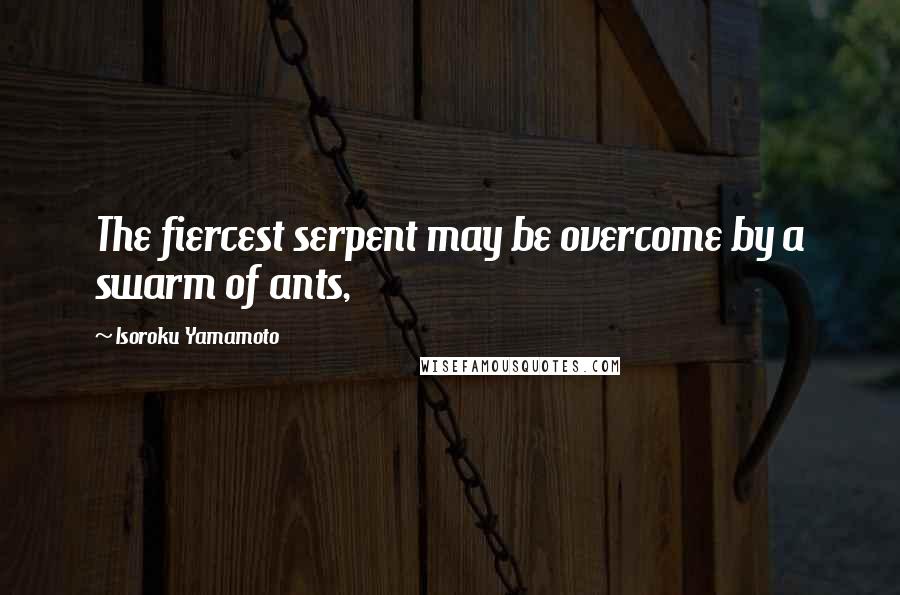 Isoroku Yamamoto Quotes: The fiercest serpent may be overcome by a swarm of ants,