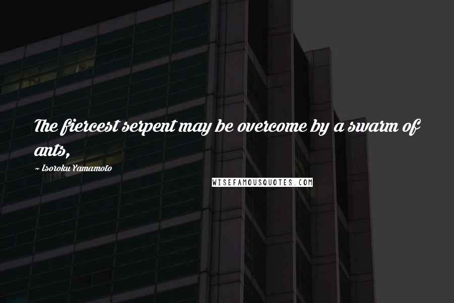 Isoroku Yamamoto Quotes: The fiercest serpent may be overcome by a swarm of ants,