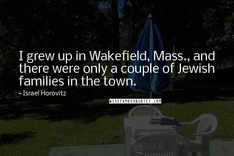 Israel Horovitz Quotes: I grew up in Wakefield, Mass., and there were only a couple of Jewish families in the town.