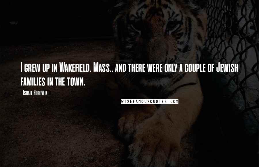 Israel Horovitz Quotes: I grew up in Wakefield, Mass., and there were only a couple of Jewish families in the town.