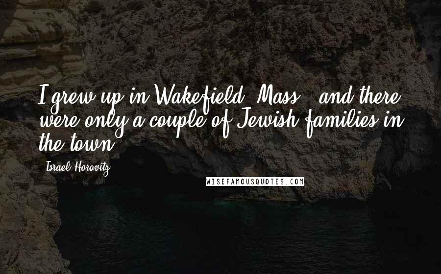 Israel Horovitz Quotes: I grew up in Wakefield, Mass., and there were only a couple of Jewish families in the town.