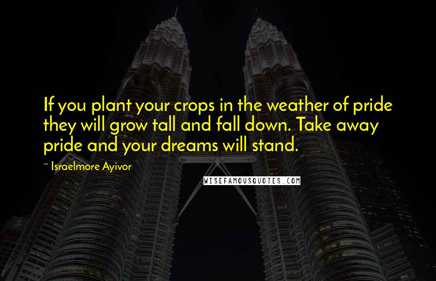 Israelmore Ayivor Quotes: If you plant your crops in the weather of pride they will grow tall and fall down. Take away pride and your dreams will stand.