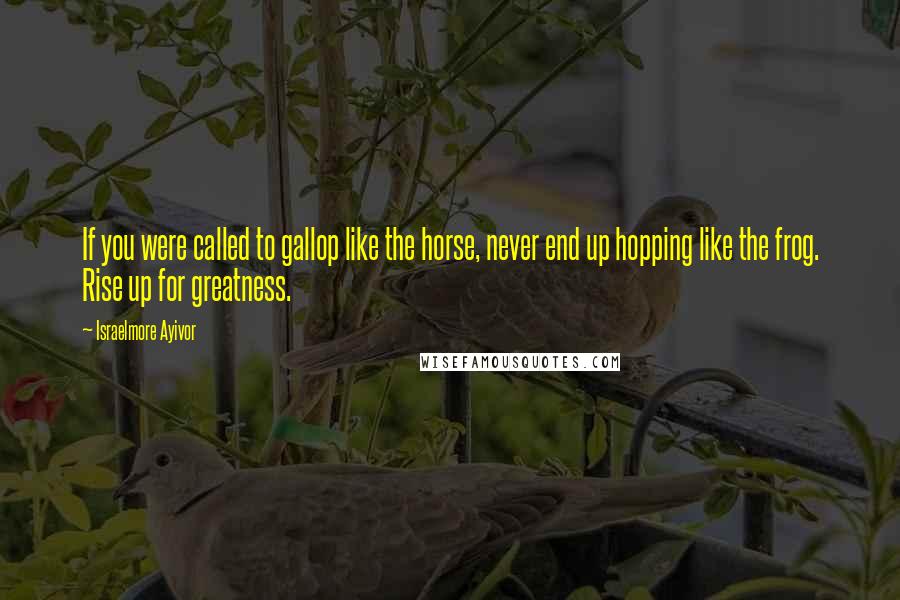 Israelmore Ayivor Quotes: If you were called to gallop like the horse, never end up hopping like the frog. Rise up for greatness.