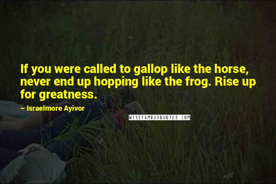 Israelmore Ayivor Quotes: If you were called to gallop like the horse, never end up hopping like the frog. Rise up for greatness.