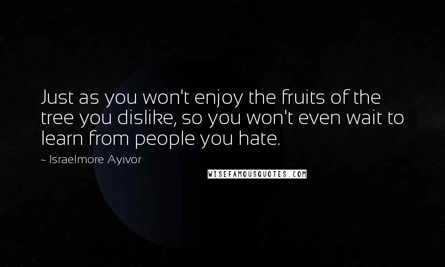 Israelmore Ayivor Quotes: Just as you won't enjoy the fruits of the tree you dislike, so you won't even wait to learn from people you hate.