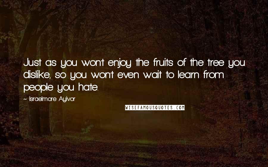 Israelmore Ayivor Quotes: Just as you won't enjoy the fruits of the tree you dislike, so you won't even wait to learn from people you hate.