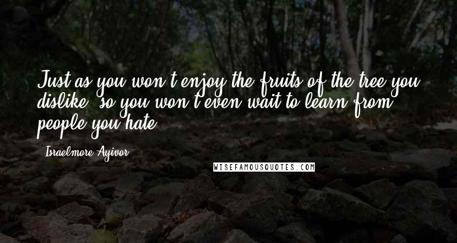 Israelmore Ayivor Quotes: Just as you won't enjoy the fruits of the tree you dislike, so you won't even wait to learn from people you hate.