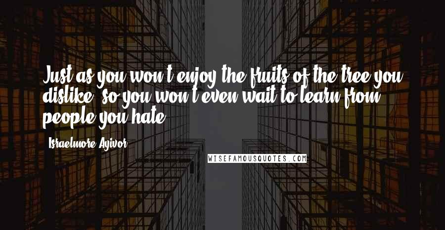 Israelmore Ayivor Quotes: Just as you won't enjoy the fruits of the tree you dislike, so you won't even wait to learn from people you hate.