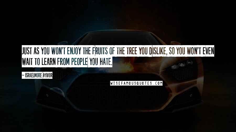 Israelmore Ayivor Quotes: Just as you won't enjoy the fruits of the tree you dislike, so you won't even wait to learn from people you hate.