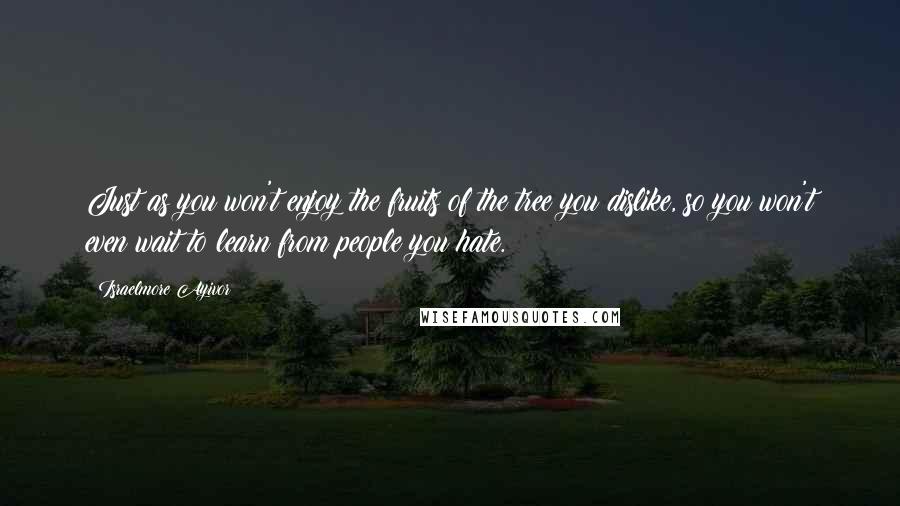 Israelmore Ayivor Quotes: Just as you won't enjoy the fruits of the tree you dislike, so you won't even wait to learn from people you hate.