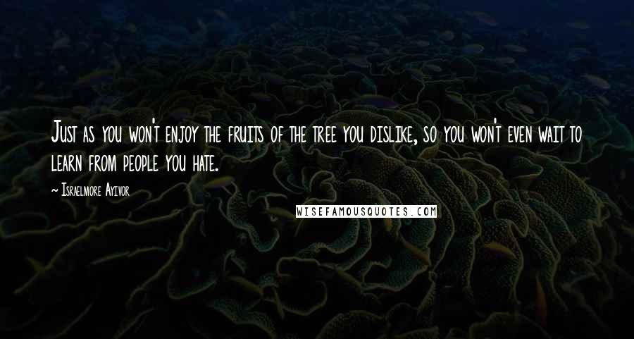 Israelmore Ayivor Quotes: Just as you won't enjoy the fruits of the tree you dislike, so you won't even wait to learn from people you hate.