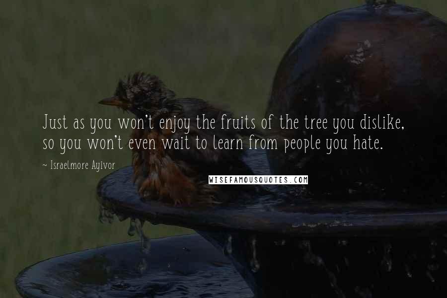 Israelmore Ayivor Quotes: Just as you won't enjoy the fruits of the tree you dislike, so you won't even wait to learn from people you hate.