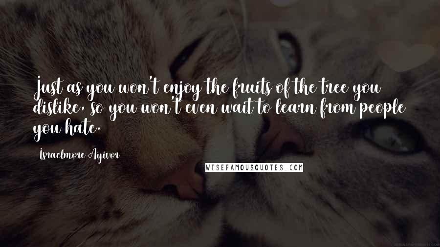 Israelmore Ayivor Quotes: Just as you won't enjoy the fruits of the tree you dislike, so you won't even wait to learn from people you hate.