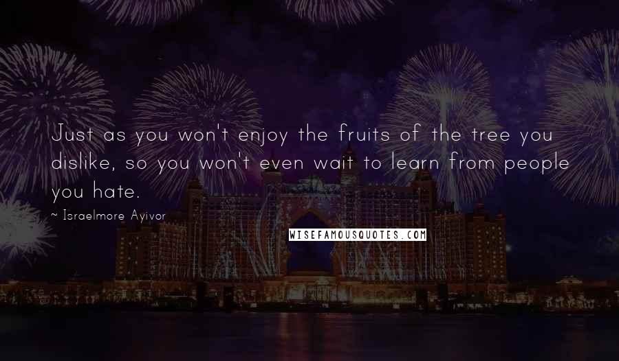 Israelmore Ayivor Quotes: Just as you won't enjoy the fruits of the tree you dislike, so you won't even wait to learn from people you hate.