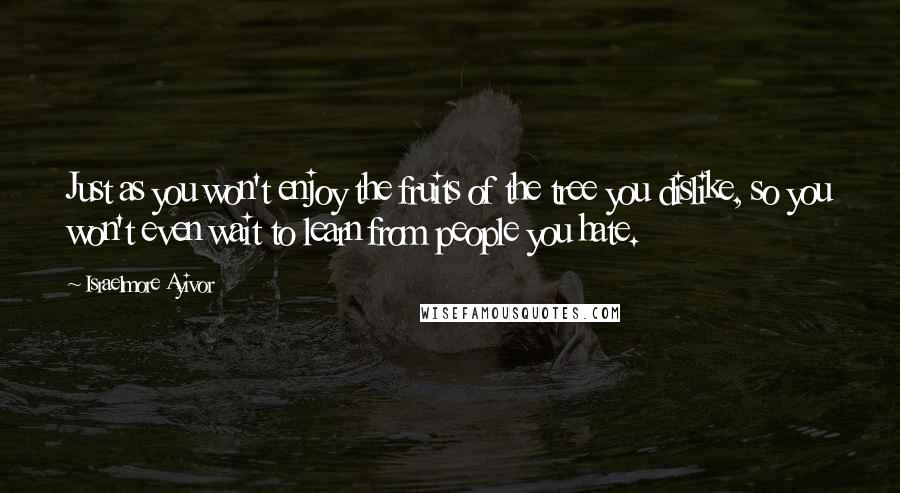 Israelmore Ayivor Quotes: Just as you won't enjoy the fruits of the tree you dislike, so you won't even wait to learn from people you hate.