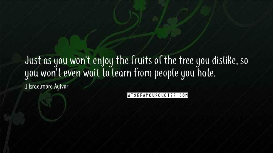 Israelmore Ayivor Quotes: Just as you won't enjoy the fruits of the tree you dislike, so you won't even wait to learn from people you hate.