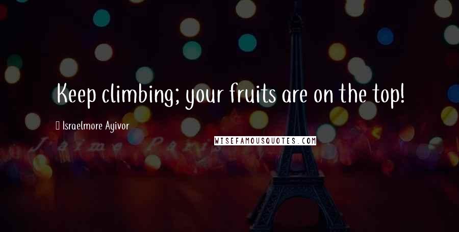 Israelmore Ayivor Quotes: Keep climbing; your fruits are on the top!