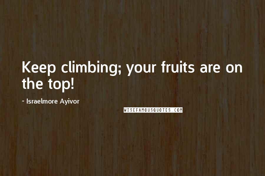 Israelmore Ayivor Quotes: Keep climbing; your fruits are on the top!