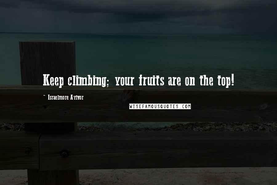 Israelmore Ayivor Quotes: Keep climbing; your fruits are on the top!