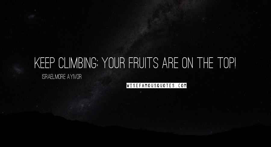 Israelmore Ayivor Quotes: Keep climbing; your fruits are on the top!