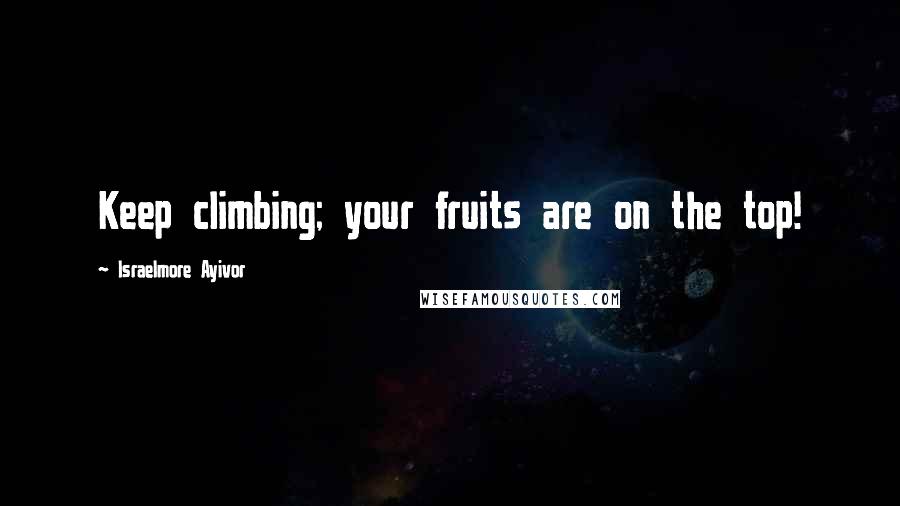 Israelmore Ayivor Quotes: Keep climbing; your fruits are on the top!