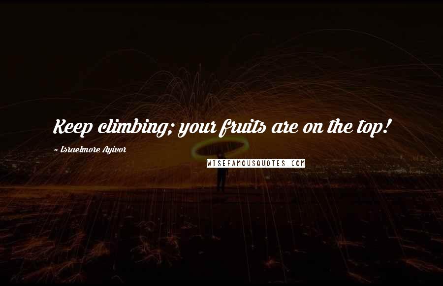 Israelmore Ayivor Quotes: Keep climbing; your fruits are on the top!