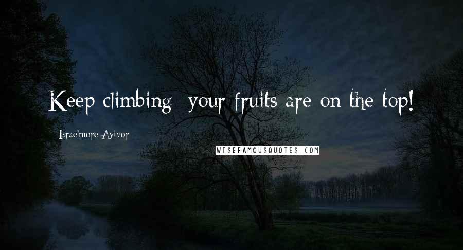 Israelmore Ayivor Quotes: Keep climbing; your fruits are on the top!