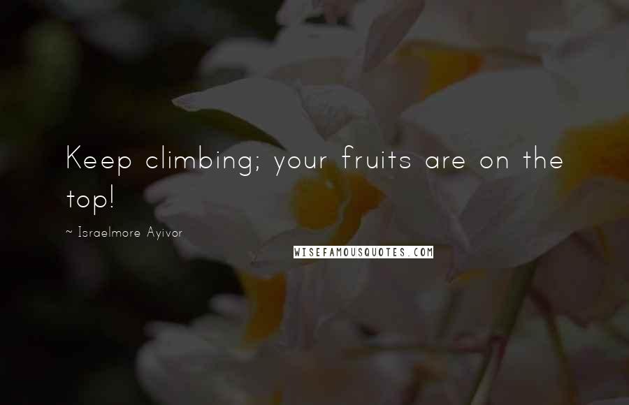 Israelmore Ayivor Quotes: Keep climbing; your fruits are on the top!