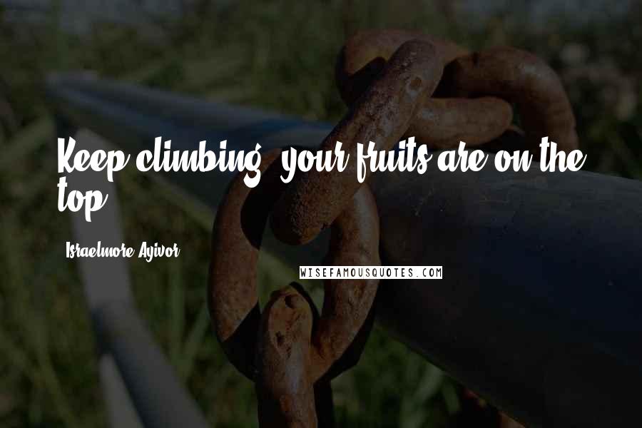 Israelmore Ayivor Quotes: Keep climbing; your fruits are on the top!