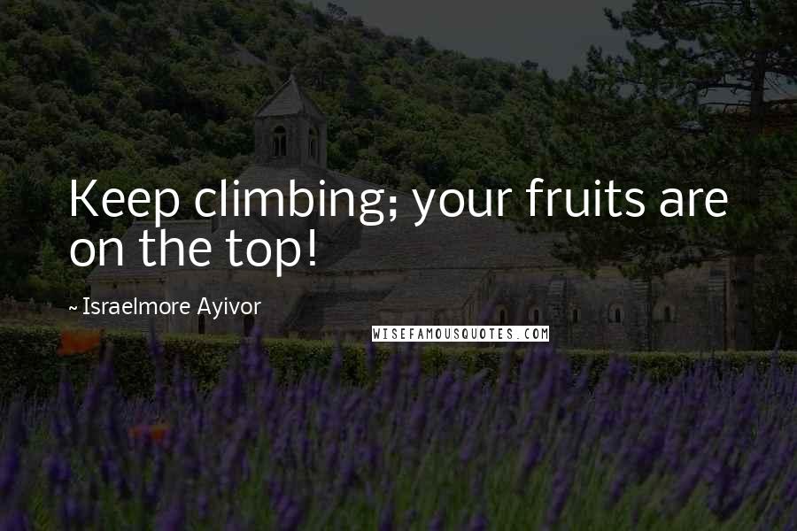 Israelmore Ayivor Quotes: Keep climbing; your fruits are on the top!