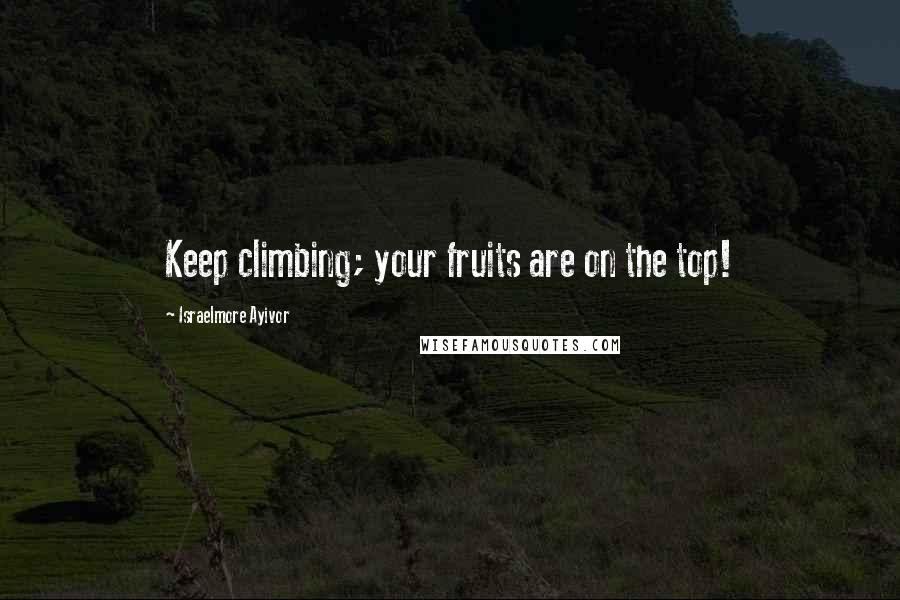 Israelmore Ayivor Quotes: Keep climbing; your fruits are on the top!