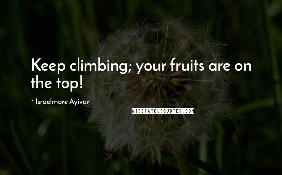 Israelmore Ayivor Quotes: Keep climbing; your fruits are on the top!