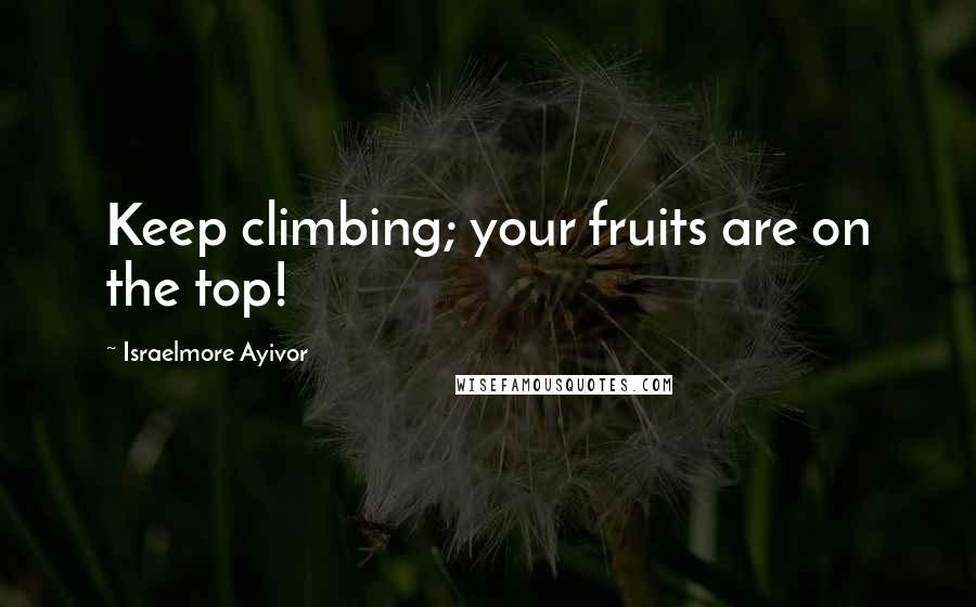 Israelmore Ayivor Quotes: Keep climbing; your fruits are on the top!