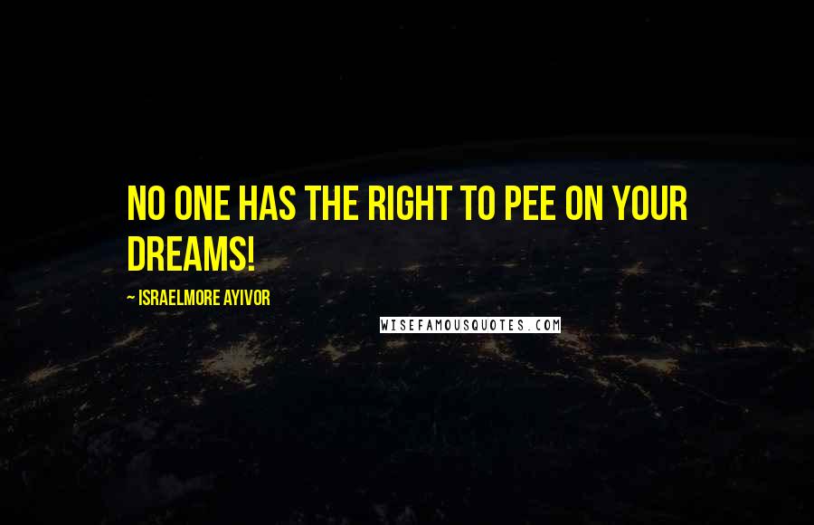 Israelmore Ayivor Quotes: No one has the right to pee on your dreams!