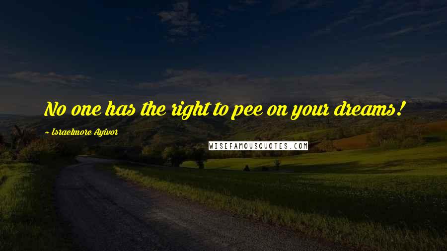 Israelmore Ayivor Quotes: No one has the right to pee on your dreams!