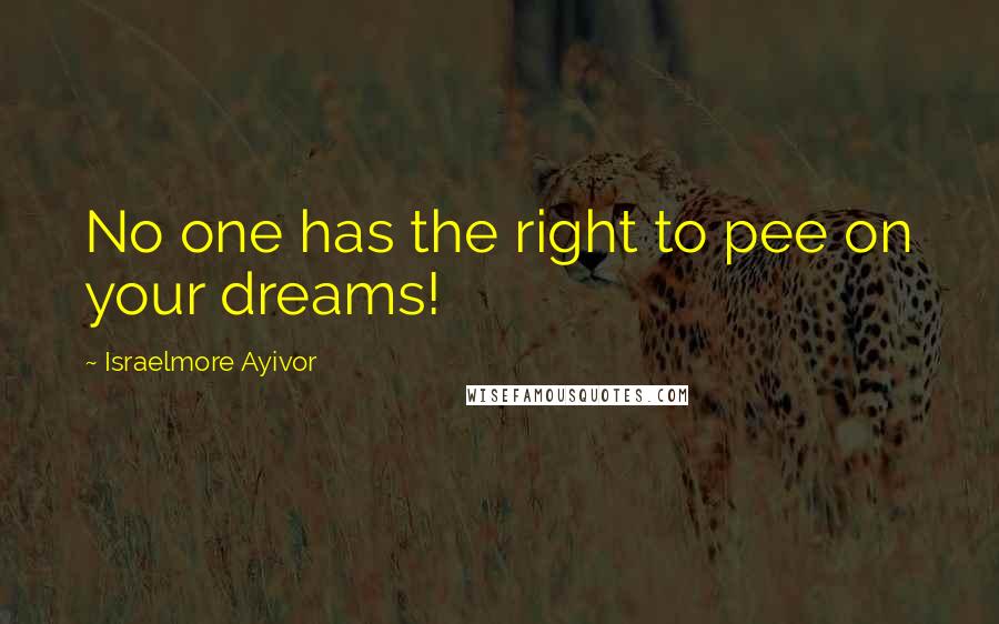 Israelmore Ayivor Quotes: No one has the right to pee on your dreams!